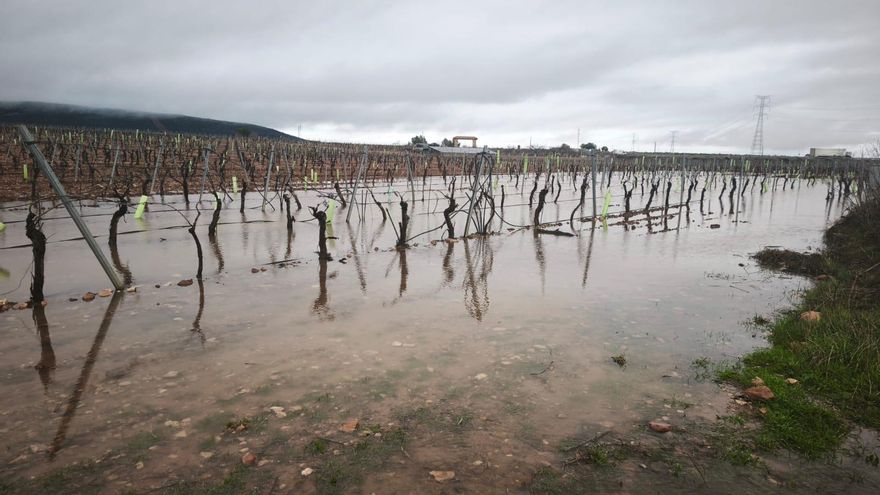 UPA y Asaja, indignadas porque “una vez más, el Ministerio excluye a Castilla-La Mancha de las ayudas” por las borrascas