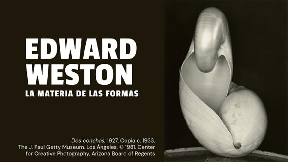 Explora sin coste el mundo de 'Edward Weston. La materia de las formas'