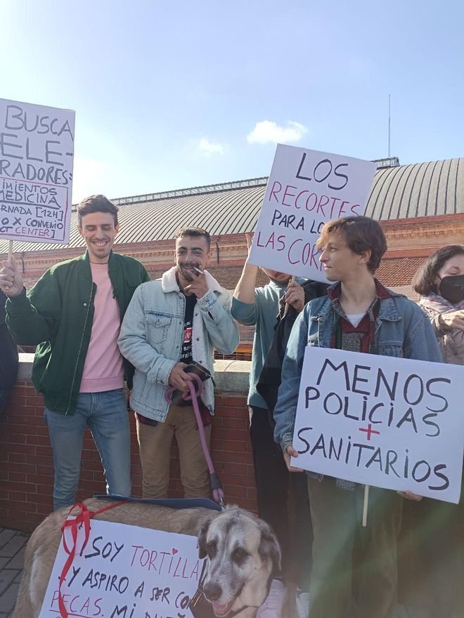 "Soy tortilla y aspiro a ser como pecas", dice uno de los carteles, en referencia al perro de la expresidenta madrileña Esperanza Aguirre, cuyas redes sociales (las del animal) manejó Ayuso en su día.