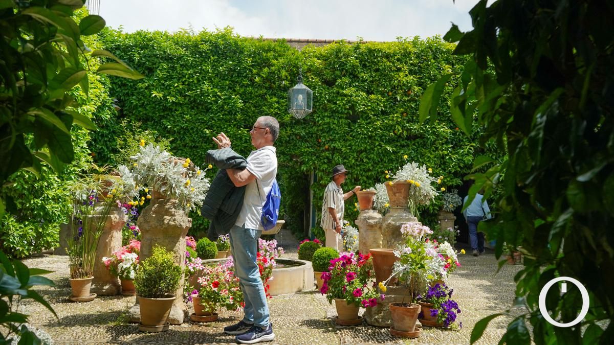 Jornada de puertas abiertas en todos los Patios del Palacio de Viana