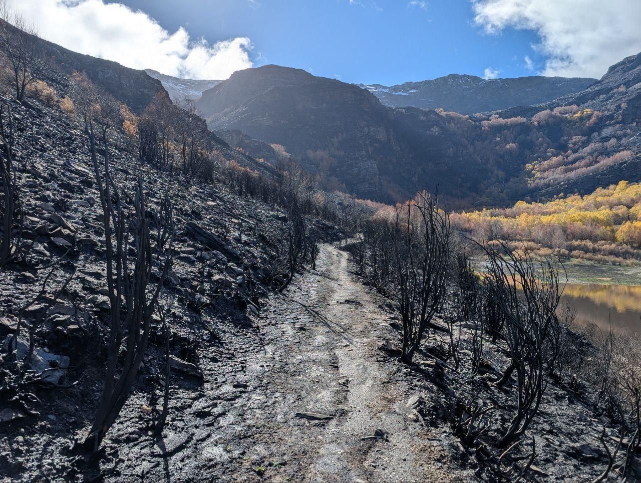 El Lago de la Baña tres meses después de ser arrasado por el fuego