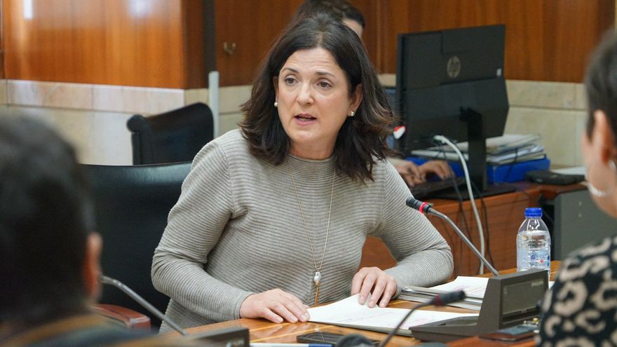 La 'número dos' del Ayuntamiento de Vitoria denuncia amenazas a su familia por la huelga de los jardineros