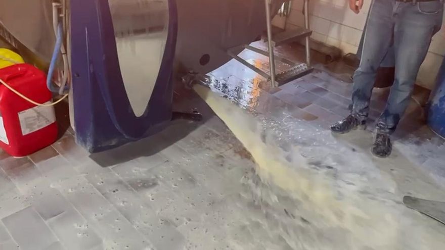 Ganaderos andaluces tiran leche para denunciar que Puleva quiere rebajar 9 céntimos el precio que les abona por litro