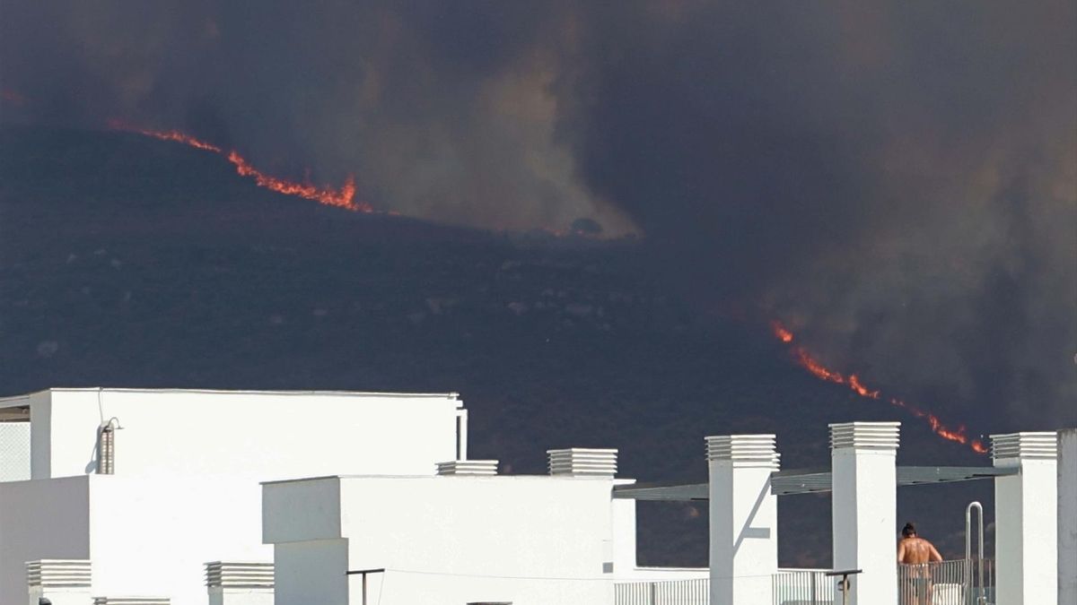 Uno de los incendios que azotó Tarifa el pasado mes de agosto.