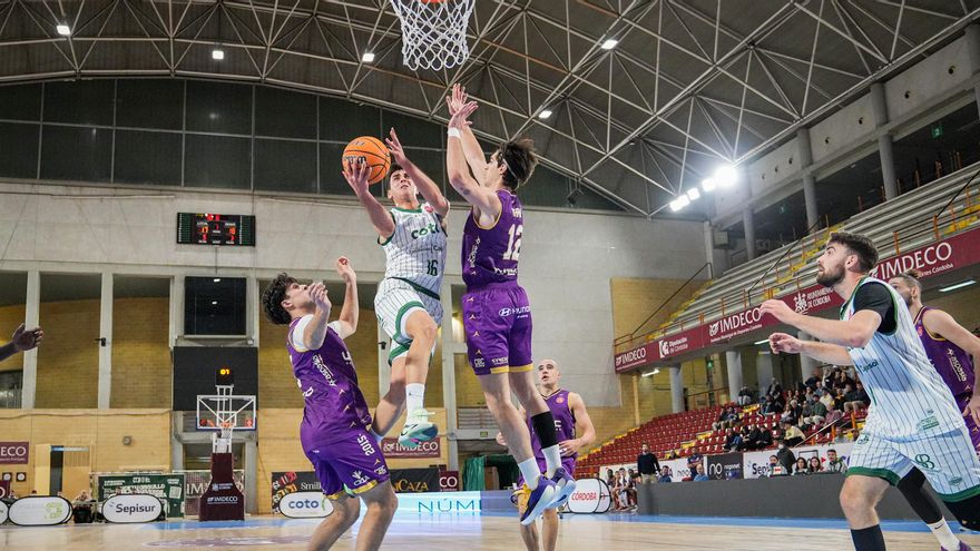 El 2025 para el baloncesto cordobés: de la ambición del Coto Córdoba CB a la reconstrucción en la N1