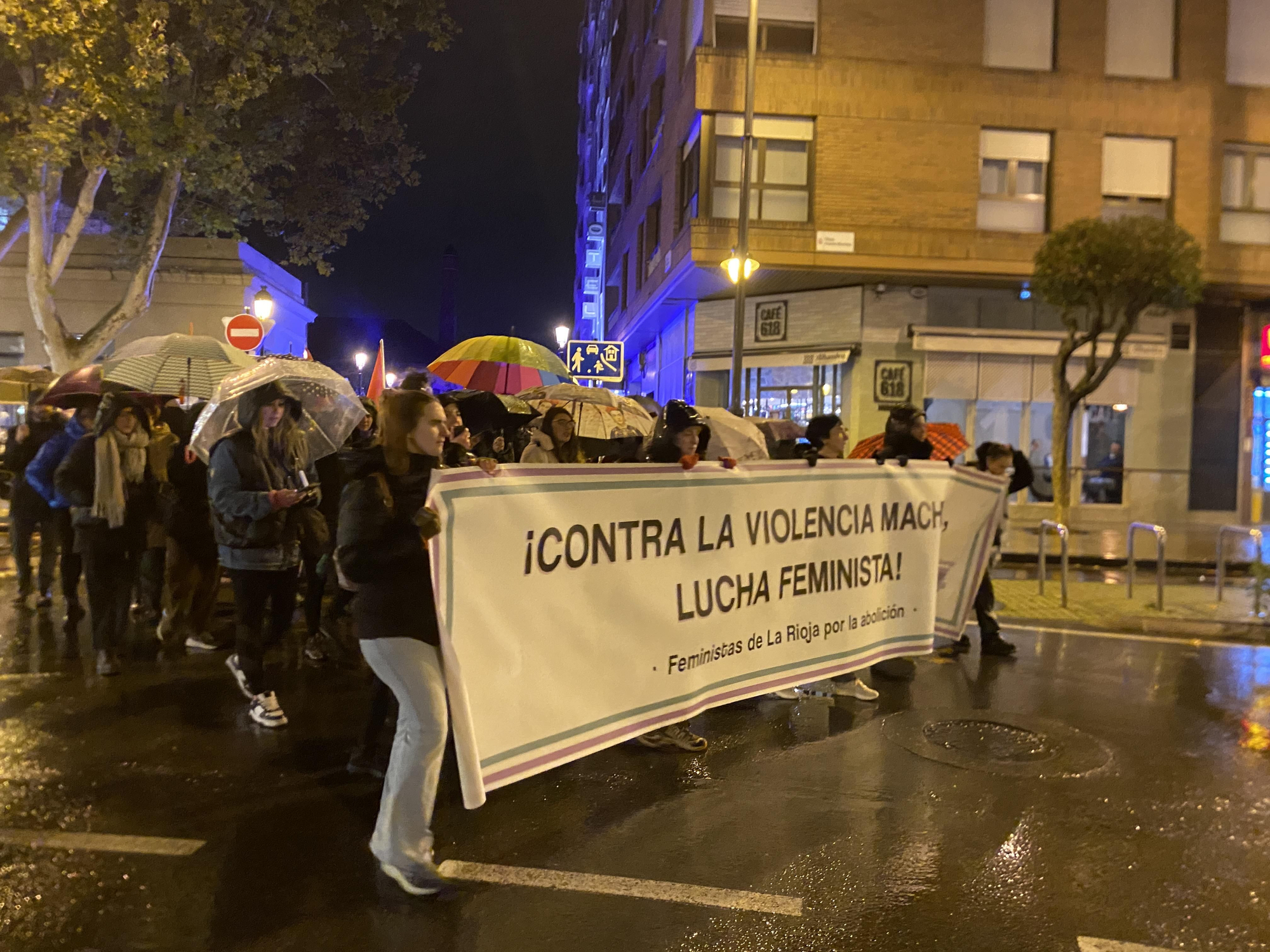 La lluvia no calla el grito feminista contra la violencia de género en Logroño