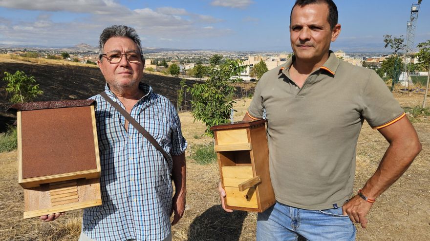 Un batallón contra la sequía: vecinos de La Zubia reforestan el municipio con sus propias manos