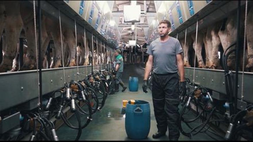 Ganaderos gallegos lanzan al mercado la primera leche A2, con una proteína natural que la hace más digestiva