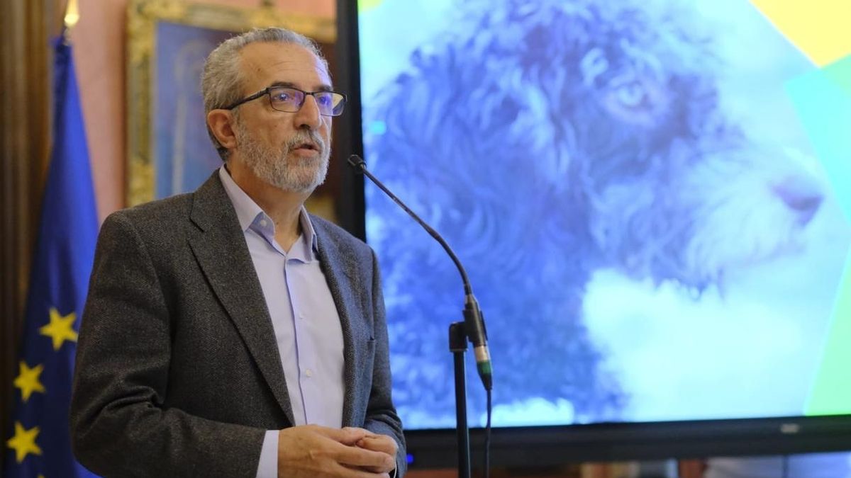 Nueva ordenanza animal, con multas de 30.000 euros, recoge maltrato psicológico, voluntarios o sacrificio cero
