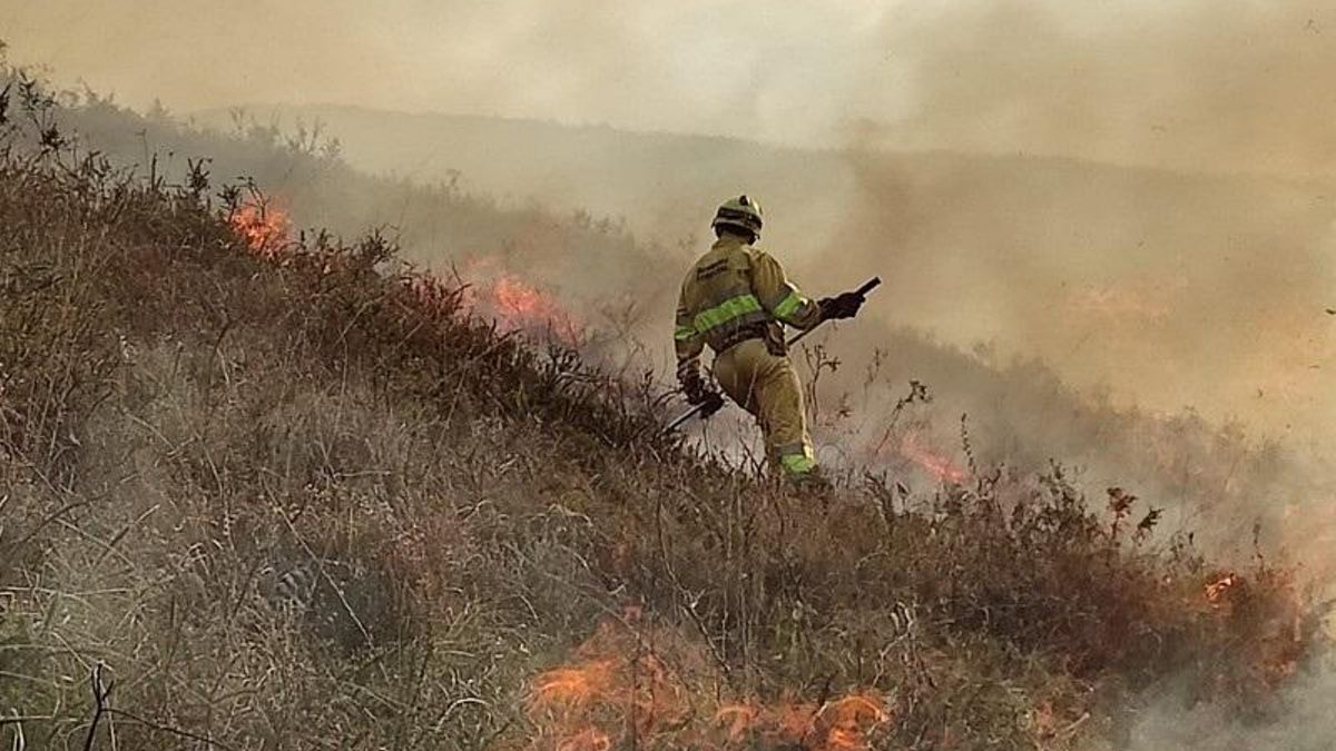 Una primavera lluviosa no tiene por qué aumentar el riesgo de incendios en verano