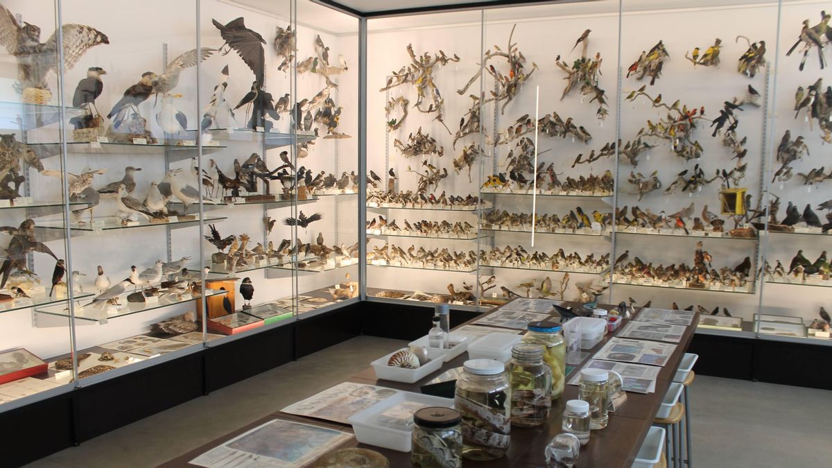 La Universidad de León asume durante 20 años la colección de ciencias naturales Padre Arintero de los Dominicos