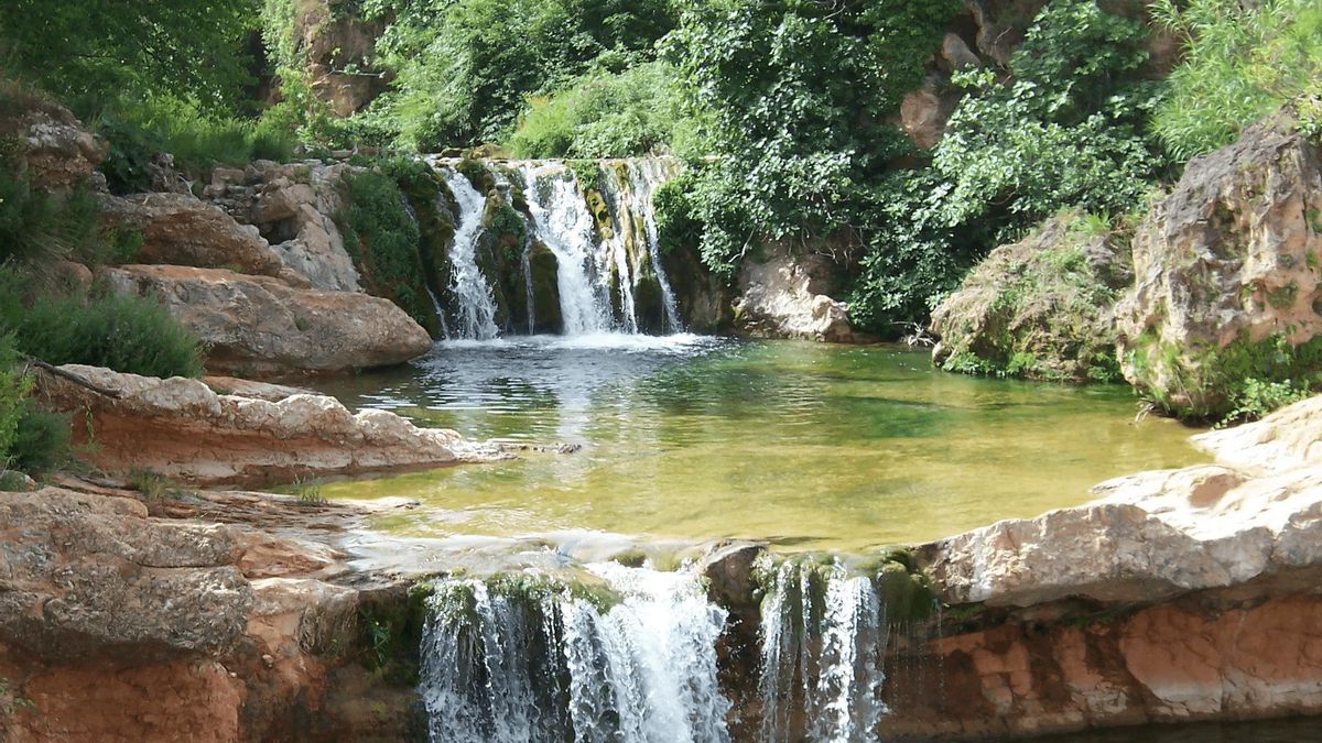 En las aguas transparentes es posible divisar peces adaptados al cauce, completando un ecosistema salvaje de enorme diversidad