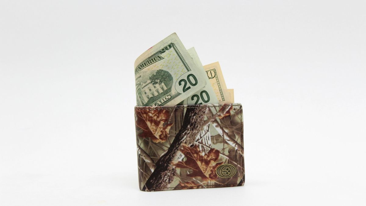 Dólares en efectivo, a los que apunta la ley de inocencia fiscal.