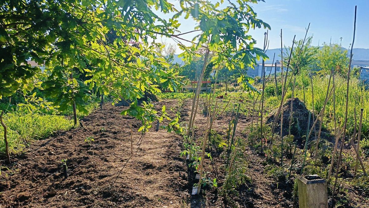 El huerto no solo te pone las piernas morenas, el ánimo elevado y los músculos currantes. También te ayuda a perseverar, a renunciar y a saborear el hechizo de la espera.