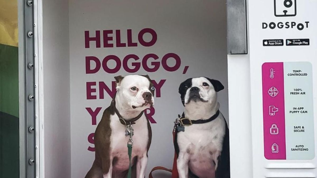 Las casetas incorporan sistemas para cuidar al animal durante la espera