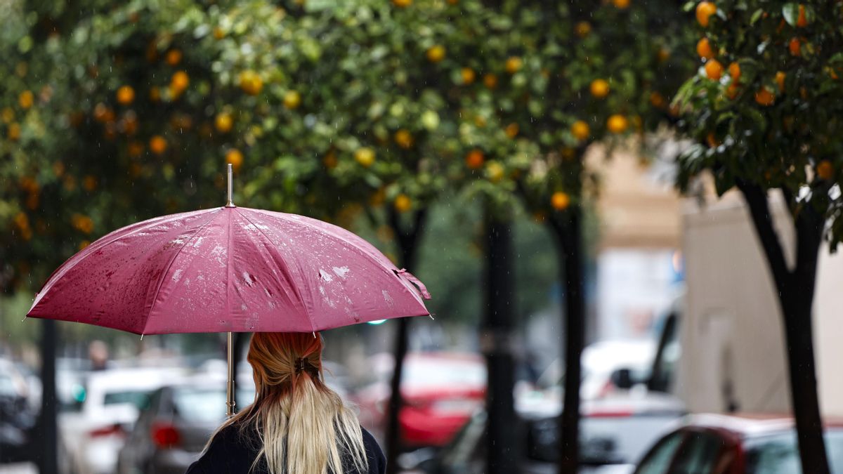 En la imagen una persona camina bajo la lluvia es martes en el centro de Valencia. EFE/Ana Escobar