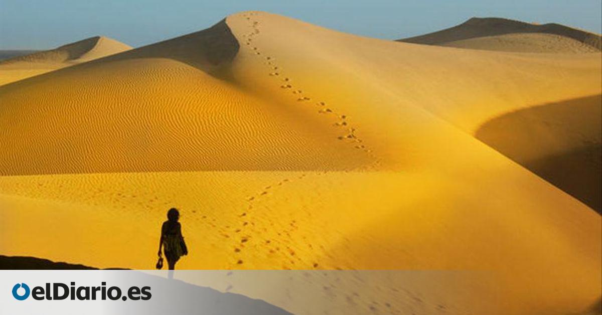 Rising Human Pressure on Maspalomas Dunes Necessitates Enhanced Protection