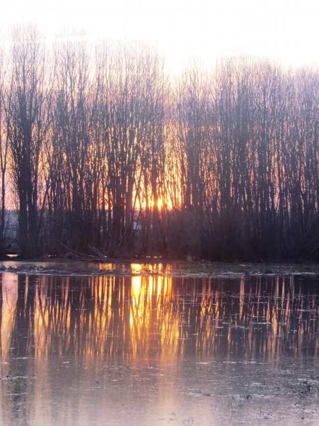 Naturaleza viva en el municipio de Cimanes del Tejar
