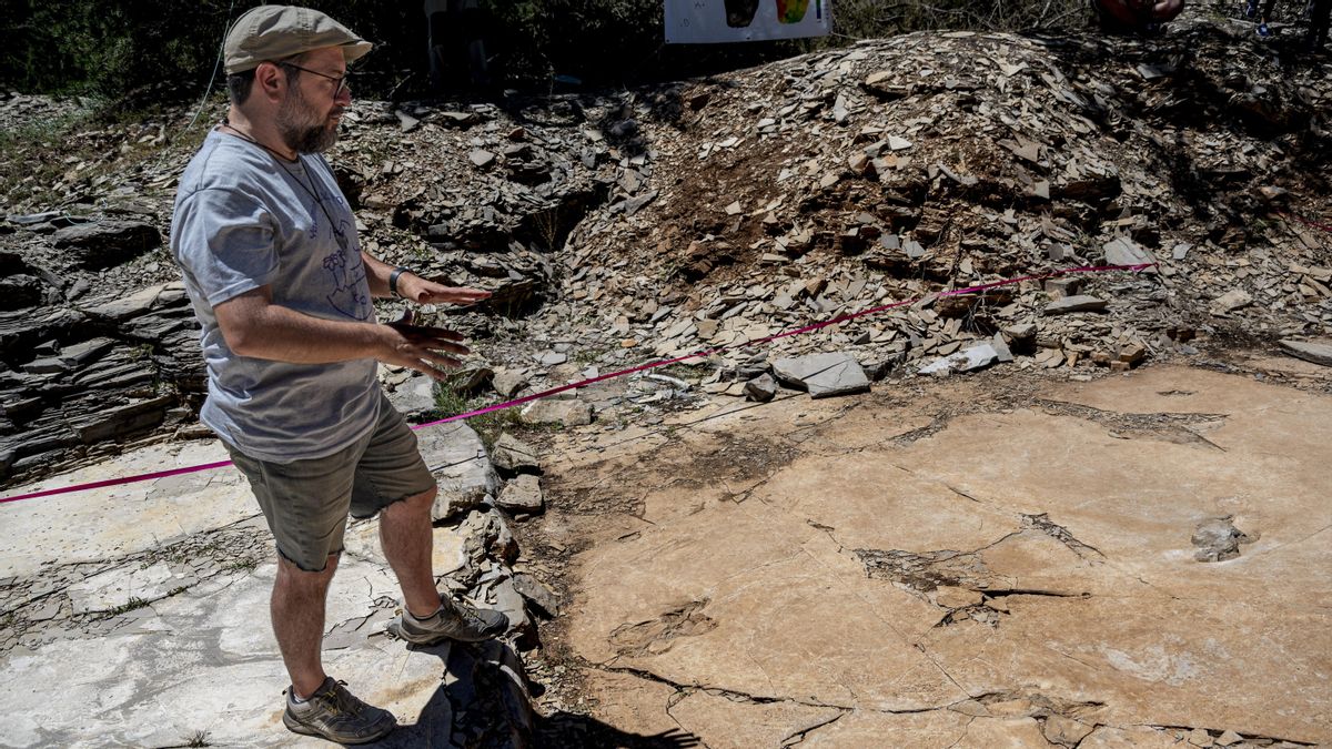 Un experto estudia el yacimiento de Las Hoyas (Cuenca) en una foto de archivo