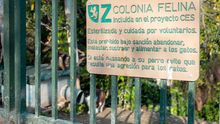 El Ayuntamiento de Zaragoza prevé esterilizar 749 gatos en lo que queda de año