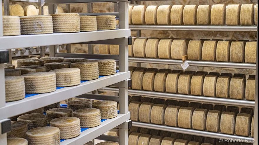 Los quesos de la quesería artesana Laurus.