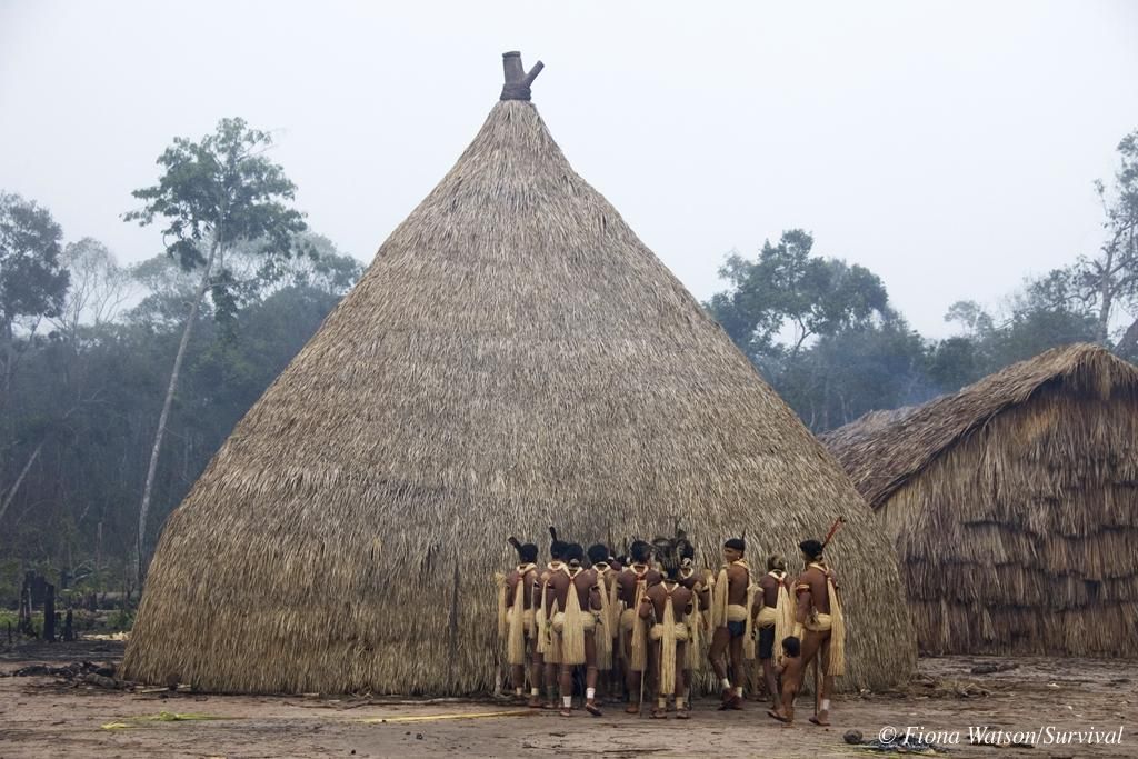 Los enawene nawes son expertos pescadores. Con las primeras luces del alba, hombres enawene nawes del estado de Mato Grosso, en Brasil, se reúnen frente al haiti, la casa de las flautas sagradas. Acaban de regresar de sus campamentos en la selva para celebrar la más importante ceremonia de pesca del año: el banquete Yãkwa./Fotografía: © Fiona Watson/Survival International