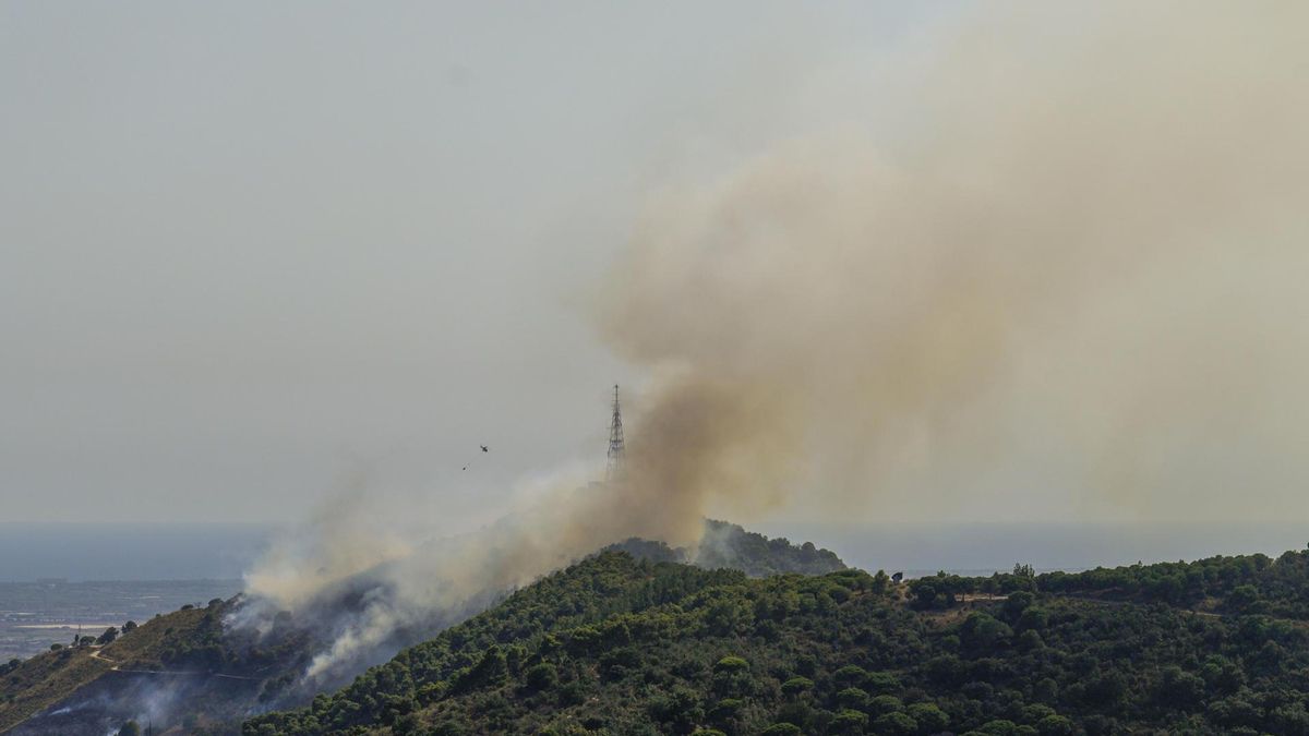Un incendio forestal quema el parque natural de Collserola entre Barcelona y Esplugues