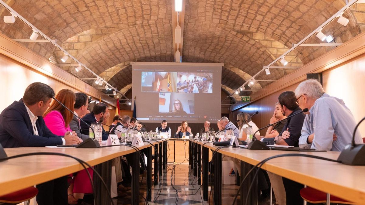 Jornada de trabajo convocada por la Secretaría General de Protección Civil y Emergencias del Ministerio del Interior para analizar el estado de tramitación de los borradores de las nuevas directrices básicas de Protección Civil.