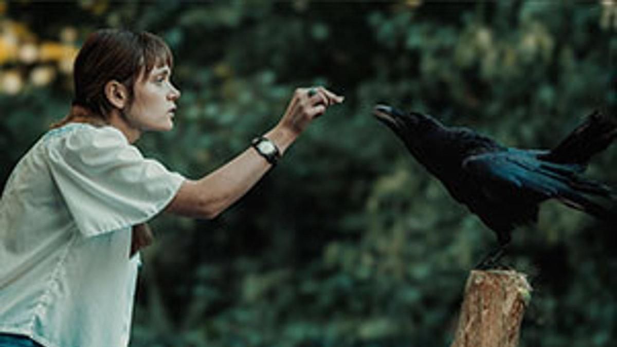 La sede de la Filmoteca en Córdoba se adentra en el cine polaco contemporáneo con la muestra CinePOLSKA