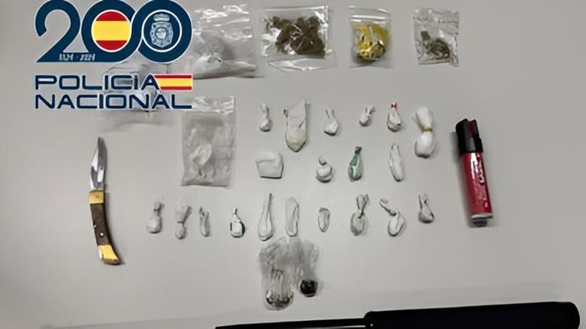Una redada en dos pubs de León con perros de la brigada de Valladolid interviene drogas y armas prohibidas