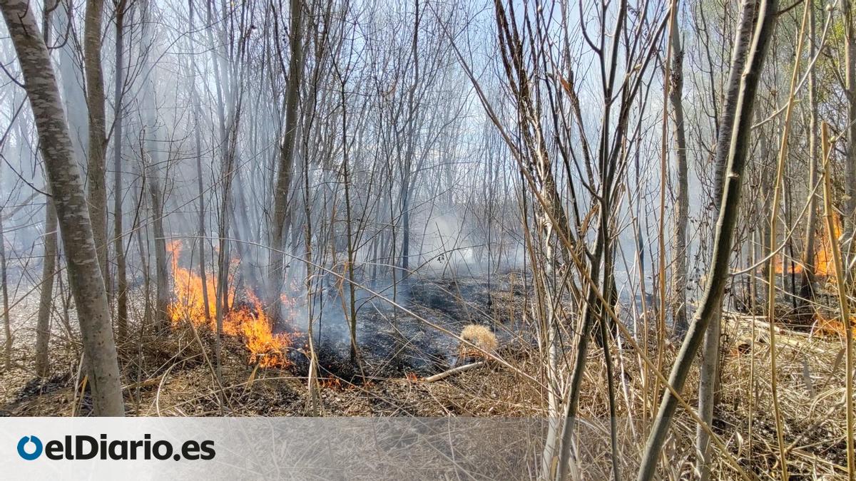 La Generalitat decreta alto riesgo de incendio en 31 comarcas de ...