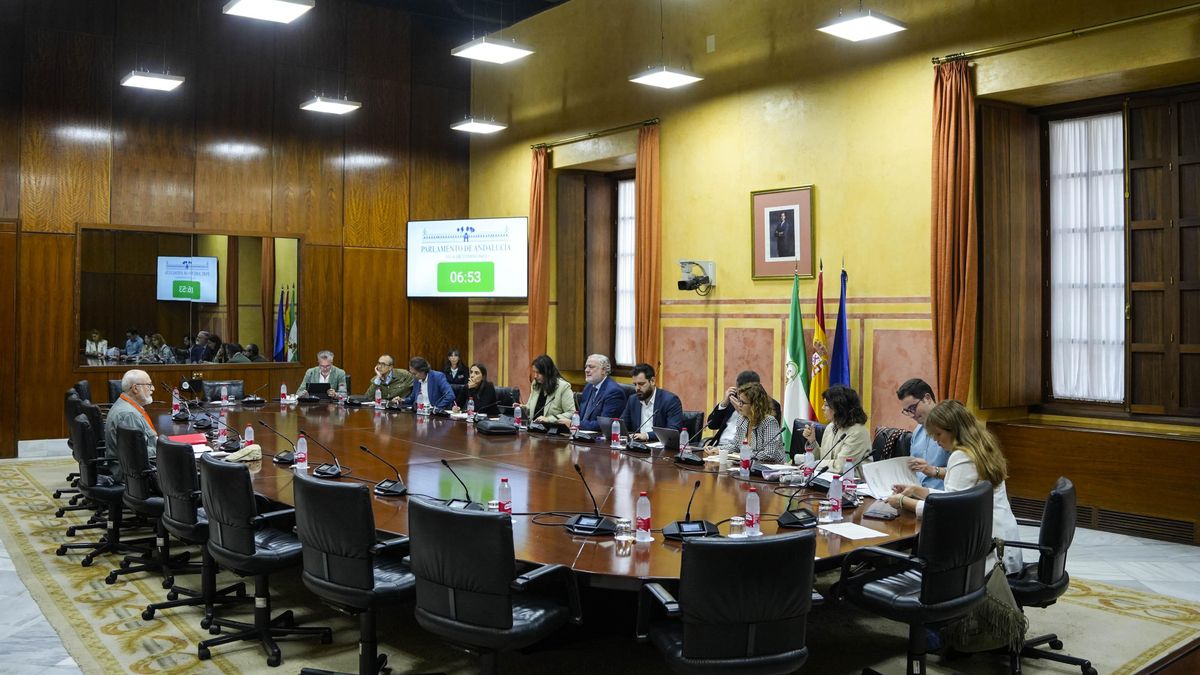 Comisión de Sanidad en la que se ha debatido este martes la Iniciativa Legislativa Popular (ILP) referente al refuerzo de la sanidad pública en Andalucía, propuesta por Mareas Blancas.