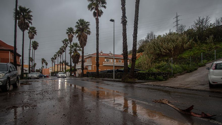 Fuertes vientos este lunes en El Sauzal.