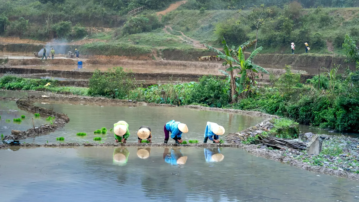 Modernizar no significa privatizar: el decreto vacía la cooperación extremeña