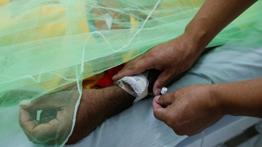 Dengue en la Argentina: 79 muertes y más de 120 mil casos en los últimos 8 meses