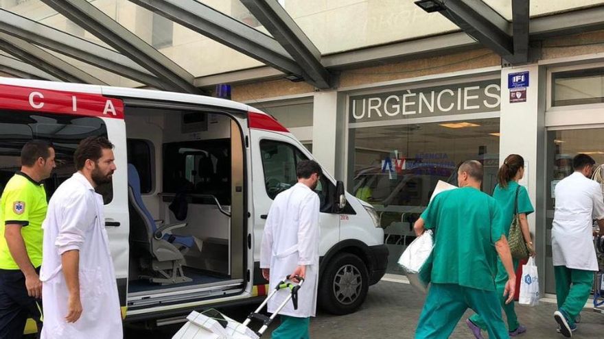 Sanidad confirma la hospitalización de un hombre por un caso de rabia en Valencia