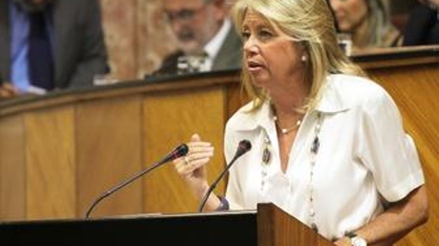 El marido de la alcaldesa de Marbella, detenido