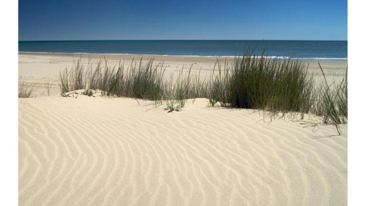 La playa de Almonte-Doñana
