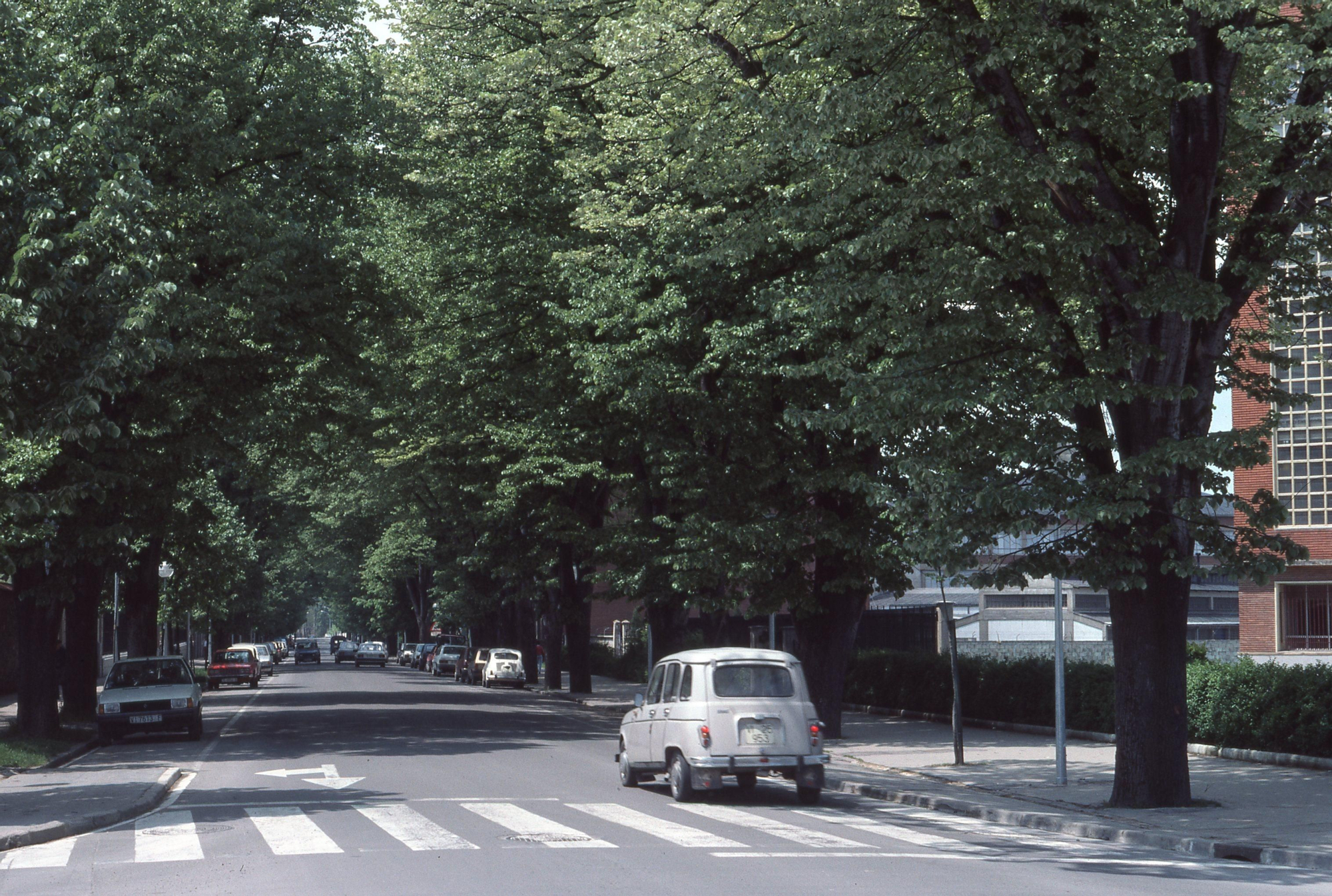 Calle de Nieves Cano