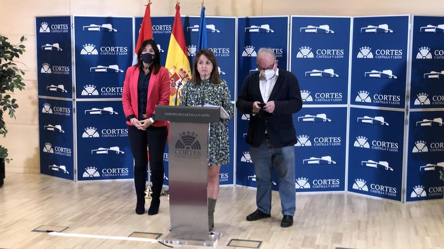La Mesa de las Cortes de Castilla y León inadmite una PNL socialista para que la Junta desautorizase su propia política sanitaria