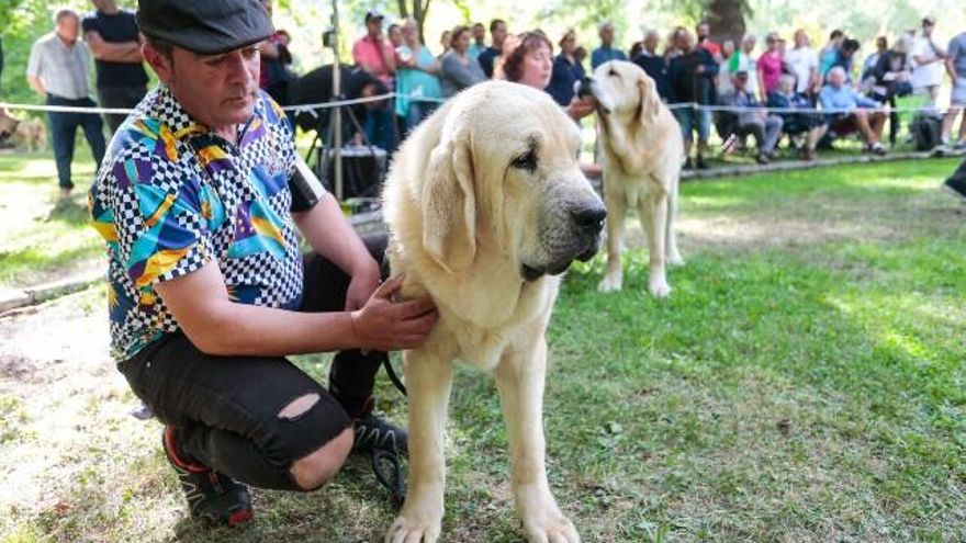Celebración de la 45 Fiesta del Pastor de Barrios de Luna. // Campillo / ICAL
