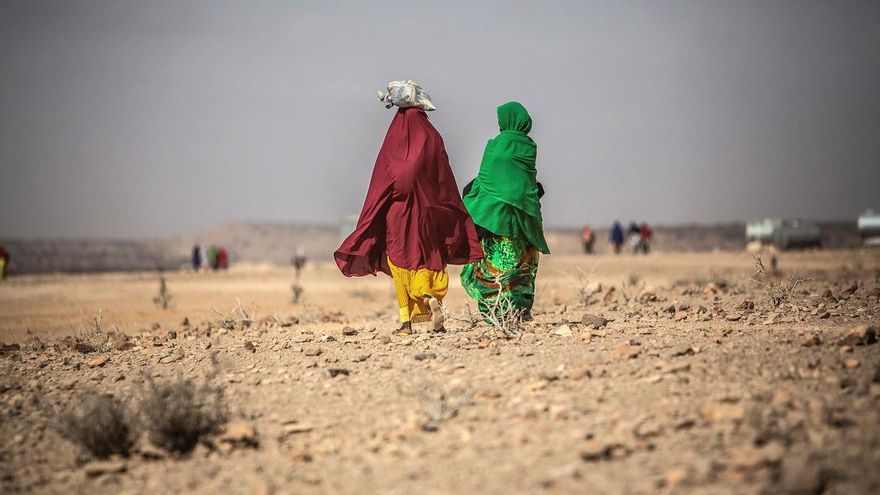 El número de personas en una situación alimentaria crítica en África central y occidental podría llegar a los 57,6 millones a finales de este año por el impacto en las economías de las medidas para contener la propagación del coronavirus, señaló hoy el Programa Mundial de Alimentos (PMA). EFE/ Pablo Tosco/Archivo