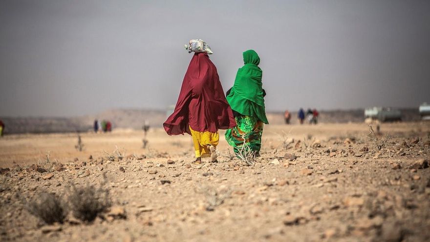 El número de personas en una situación alimentaria crítica en África central y occidental podría llegar a los 57,6 millones a finales de este año por el impacto en las economías de las medidas para contener la propagación del coronavirus, señaló hoy el Programa Mundial de Alimentos (PMA).  EFE/ Pablo Tosco/Archivo