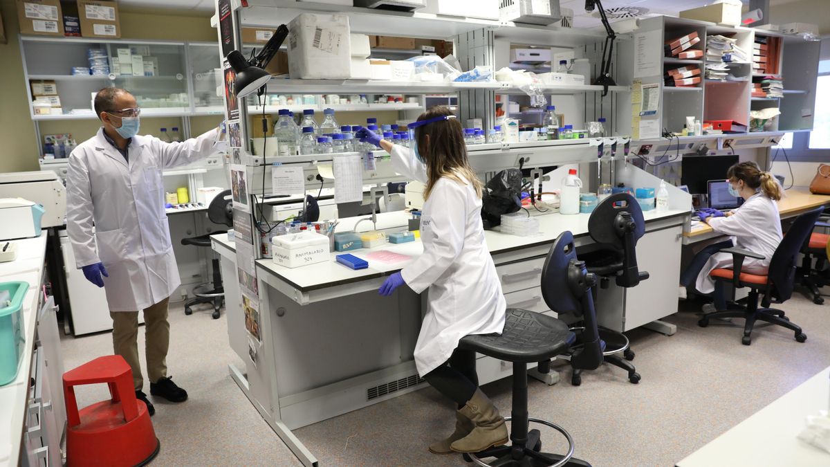 Más de 850 investigadores siguen sin contrato predoctoral por el retraso del Ministerio en resolver las ayudas