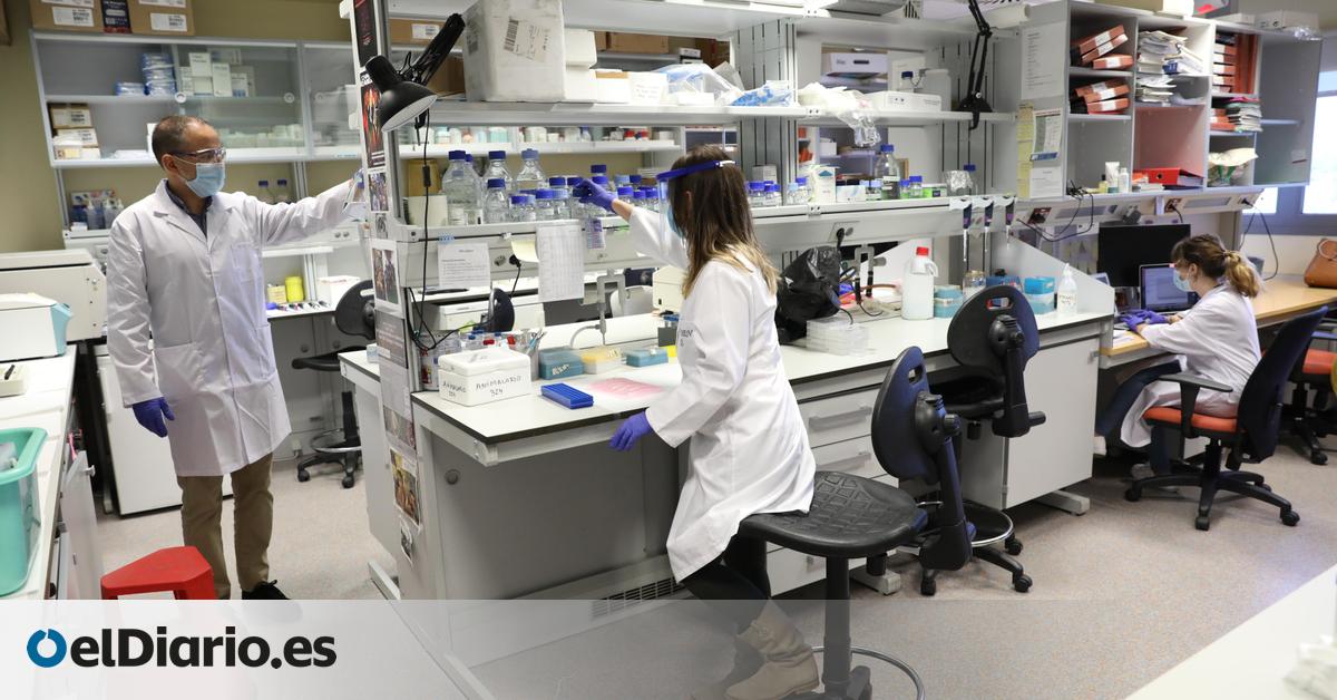 Más de 850 investigadores siguen sin contrato predoctoral por el retraso del Ministerio en resolver las ayudas