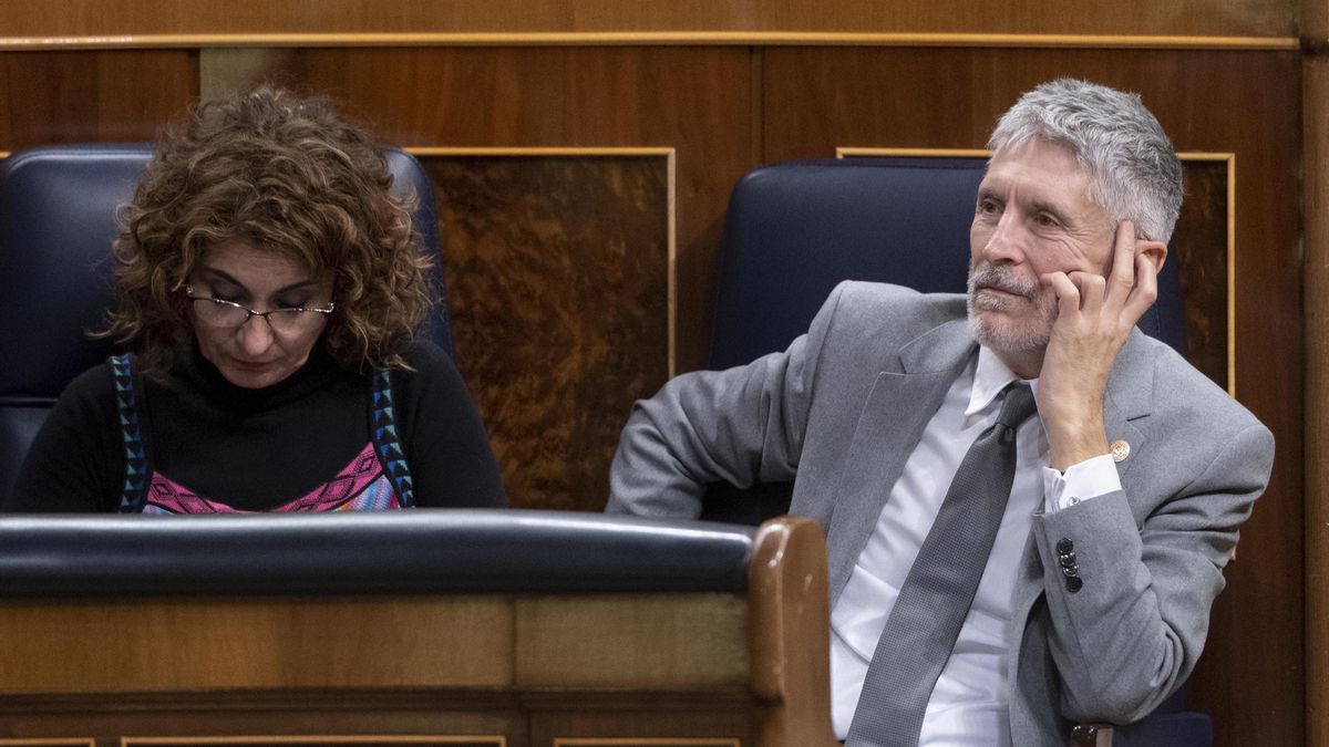 El ministro del Interior, Fernando Grande-Marlaska, en el Pleno del Congreso de los Diputados