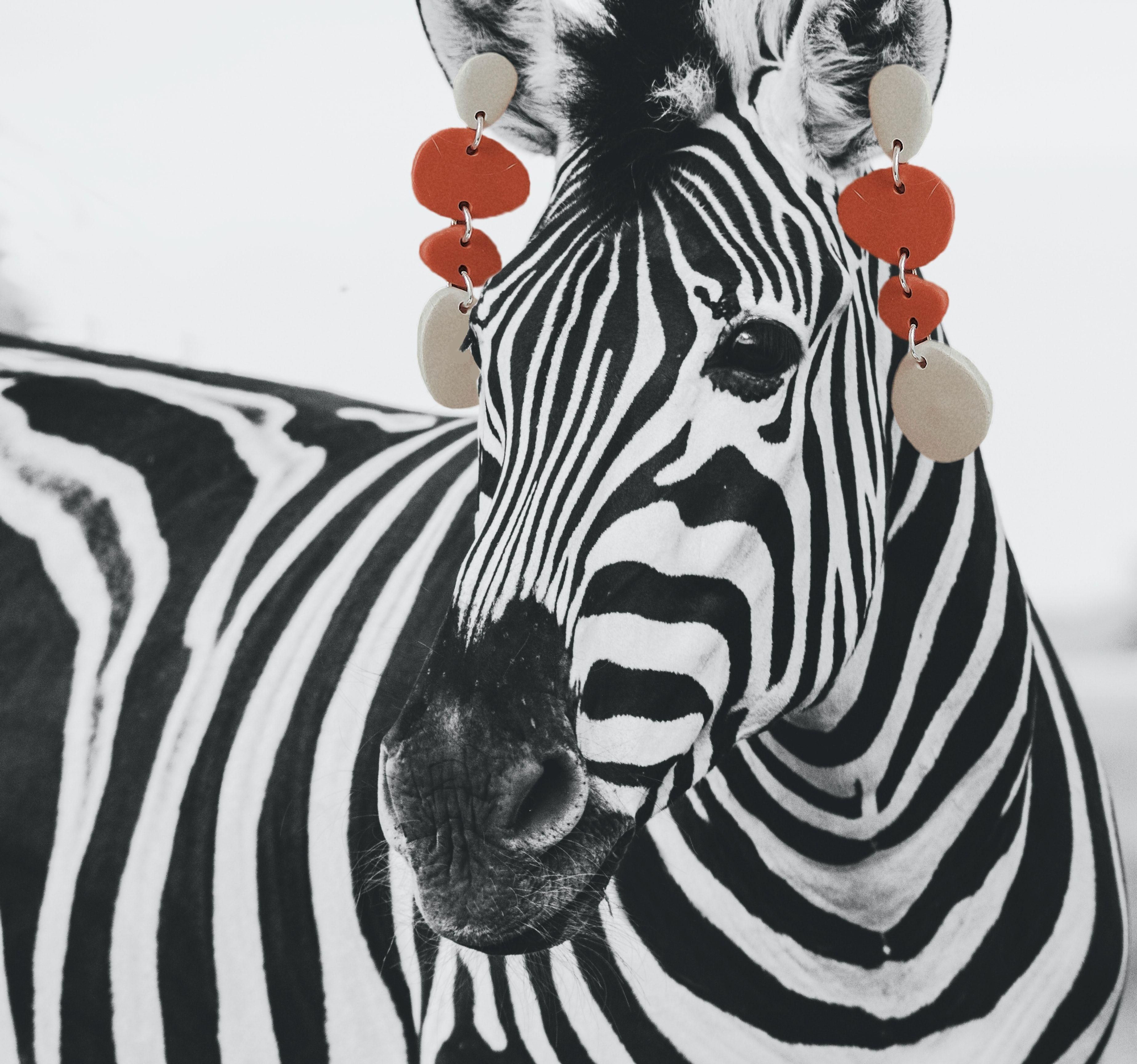 Creación de Celia Espinosa para 'La Mona'