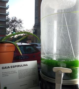 Fotobiorreactor de espirulina