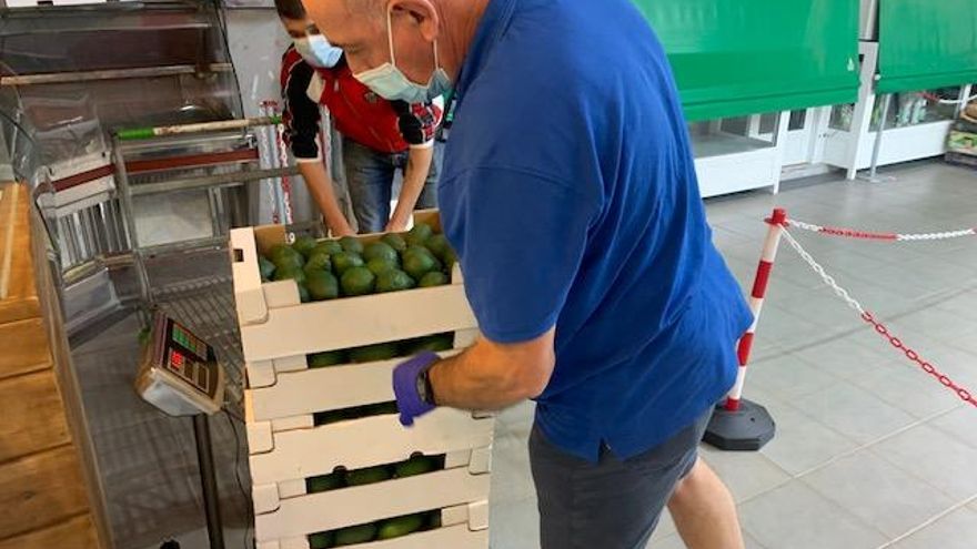 Pesando los aguacates de esta semana.