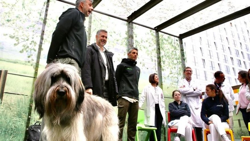 Martínez Abad junto a los responsables de Valdecilla durante la sesión con Cira